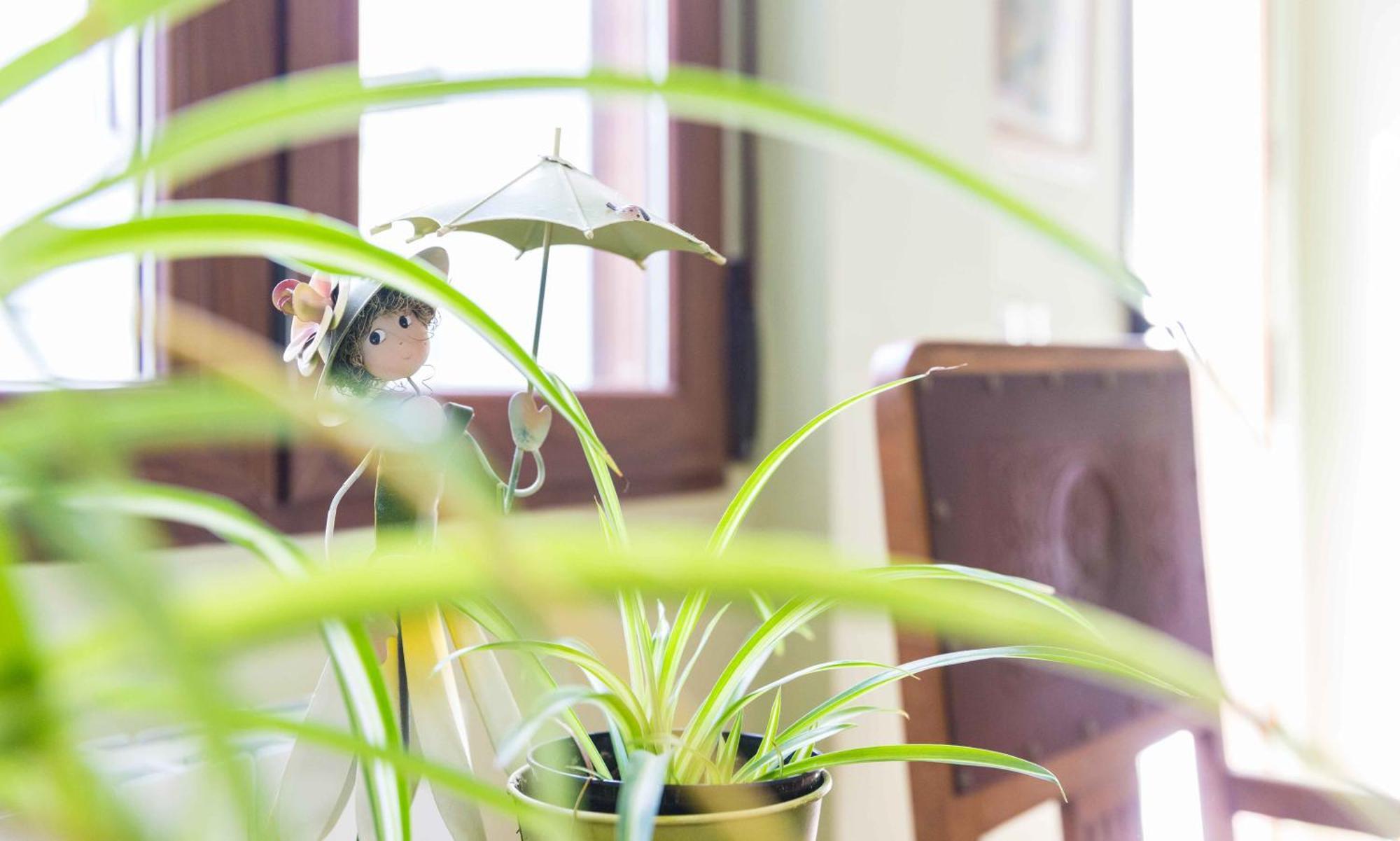 Apartamentos Salmerones อัลลามา เด กรานาดา ห้อง รูปภาพ